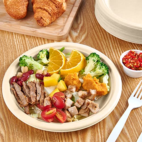 150 Pack Paper Plates 9 inch 100% Compostable (9 in Nature 150)