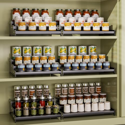 Expandable Carbon Steel Spice Rack Organizer for Pantry (2 Count)