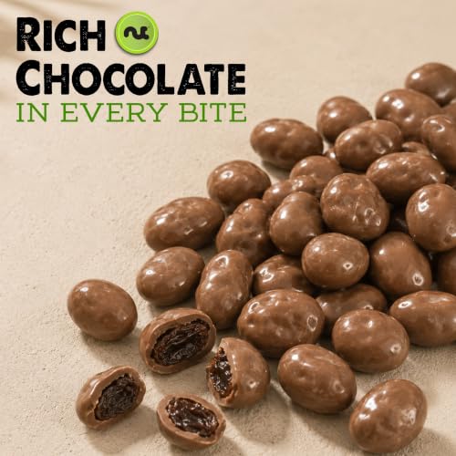 Chocolate Covered Raisins (Chocolate Covered Raisins / 32 oz)