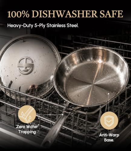 10 Inch 316 Stainless Steel Frying Pan with Lid (10 Inch)