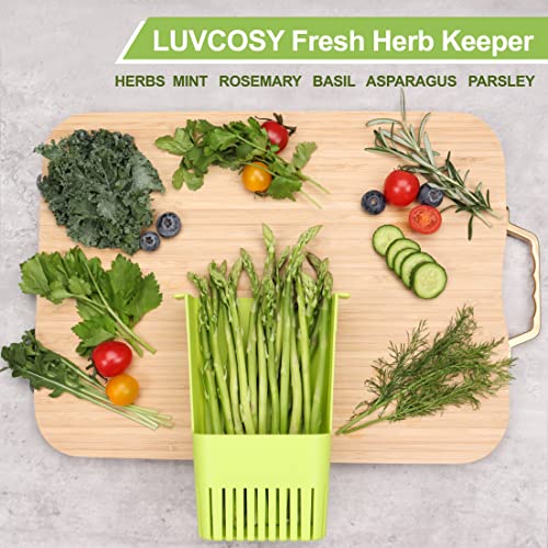 Fresh Herb Keeper for Refrigerator (Herb Keeper - Green & Orange)