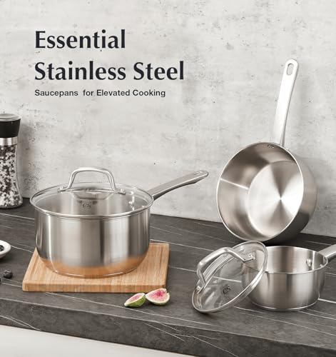 1 Quart Stainless Steel Saucepan (Silver / 1 Quart)
