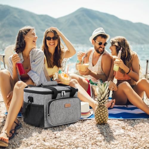 Insulated Lunch Box for Men (Gray / Mega (33L))