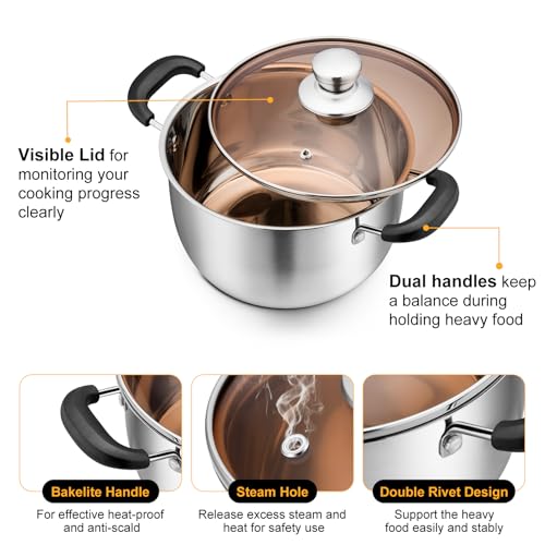 6 Qt Stockpot with Lid (6 Quarts)