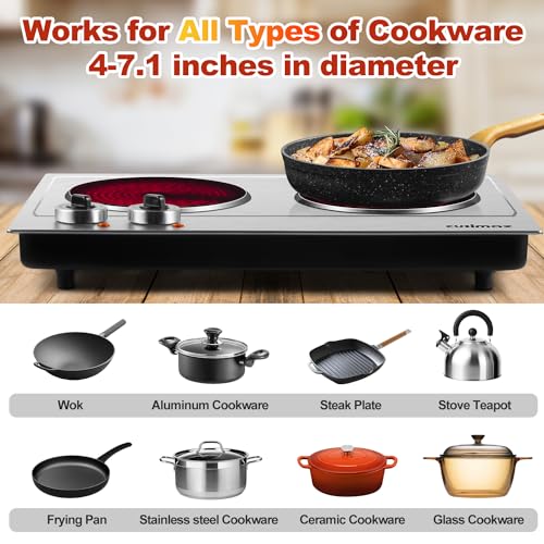 Hot Plate for Cooking (Infrared Silver / Double)