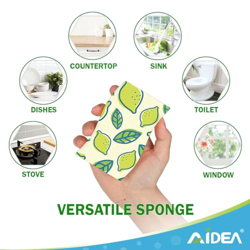 Sponges Kitchen (24 Count)