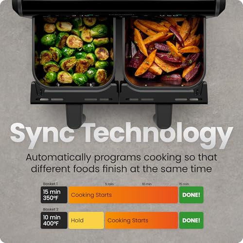 Dual Air Fryer Oven with DC Motor (9 Quart)