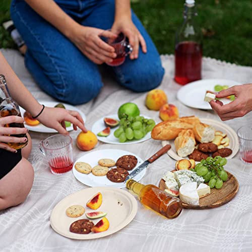 150 Pack Paper Plates 9 inch 100% Compostable (9 in Nature 150)