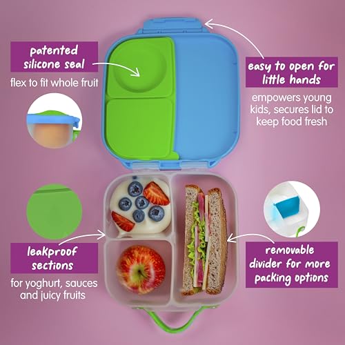 Mini Lunch Box 2