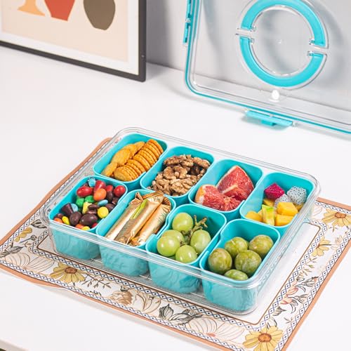 Divided Serving Tray with Lid and Handle (Lake blue-1 Pack)