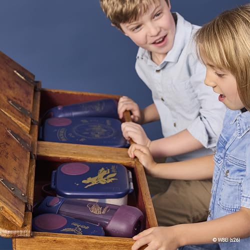 Harry Potter Mini Lunch Box Kids (Harry Potter / 1-pack)