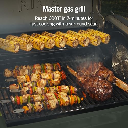 FlexFlame Grill & Smoker (Green)