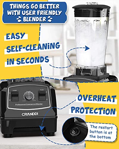 Professional Blender (Black Pearl)