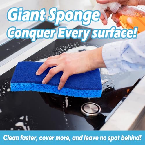 XL Sponges Kitchen 12Count (12 Count)