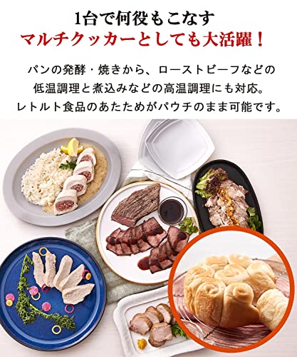 TIGER JBS A055 WM [Micon jar rice cooker