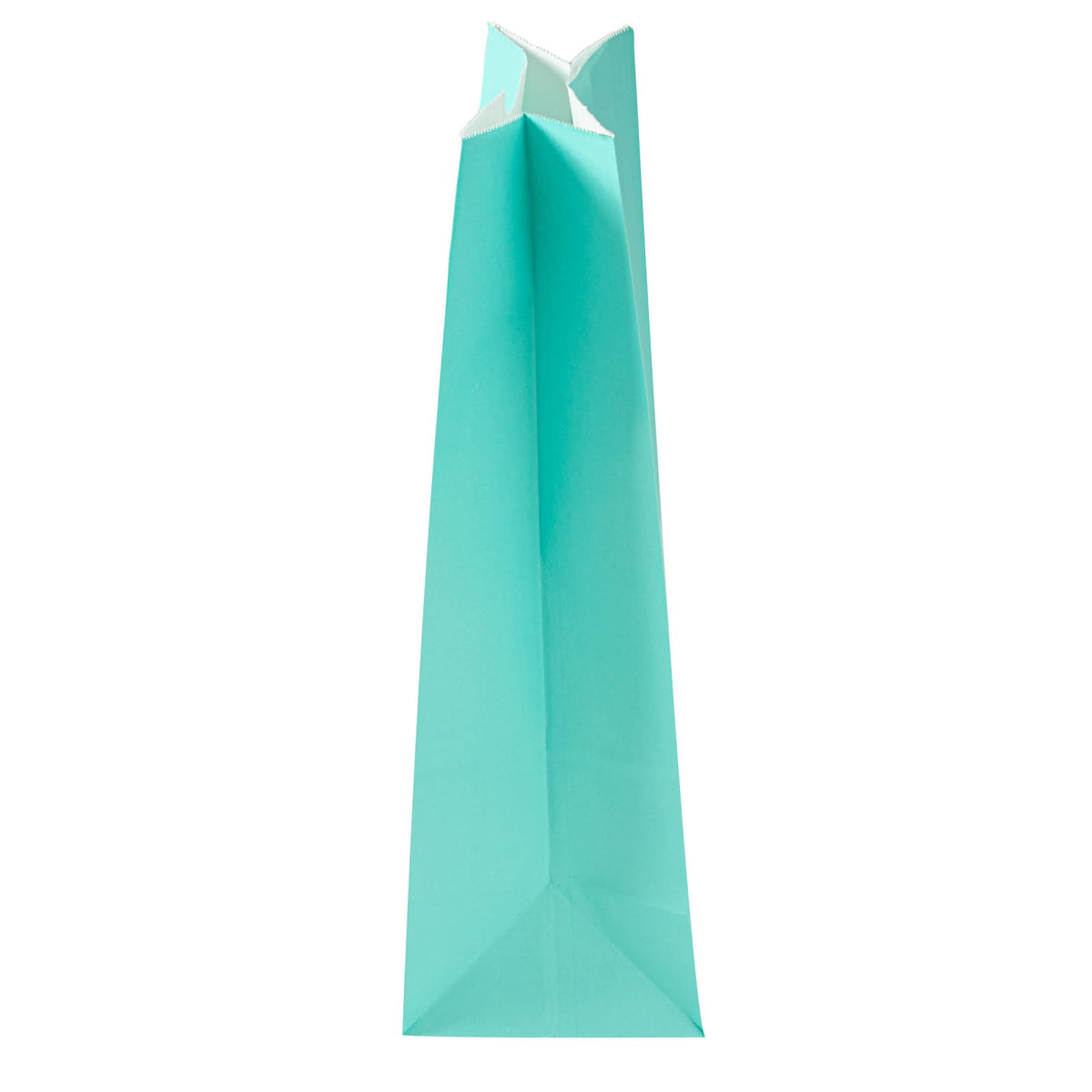 Turquoise Paper Bag (12 lb / Turquoise)