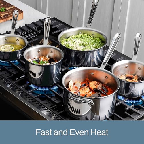 D3 Stainless Steel 3 Quart Sauce Pan With Lid (3 Quarts)