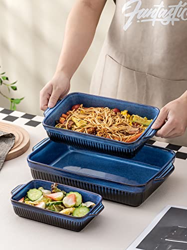 Ceramic Baking Dishes (Blue)