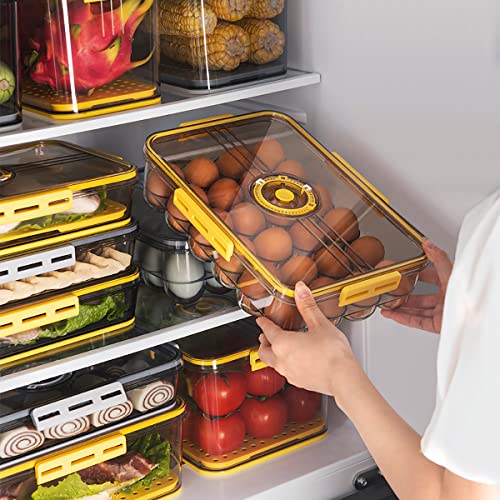 Egg Holder 24 Container With Lids for Timer 2 pack (2 Count)