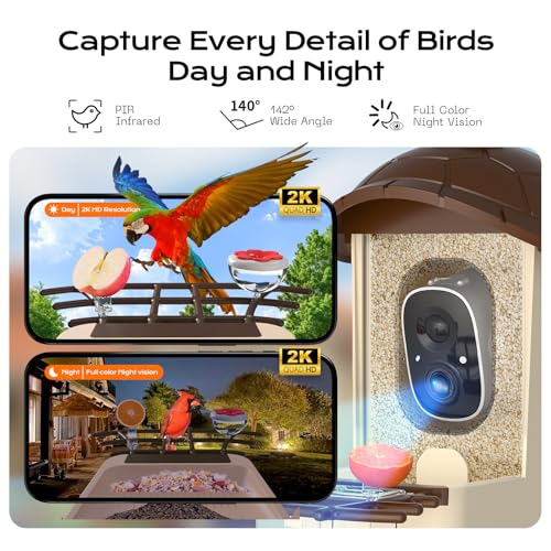 Bird Feeder with Camera (Brown)