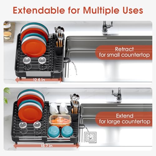 Expandable Dish Drying Rack for Kitchen Counter (Black / Standard)