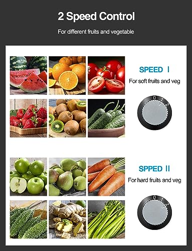 Juicer Machine 800W Centrifugal Juicer with Wide Mouth Feed Chute