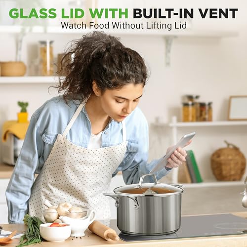 6 Quart Stainless Steel Stock Pot with Lid (Stainless Steel / 6 Quarts)