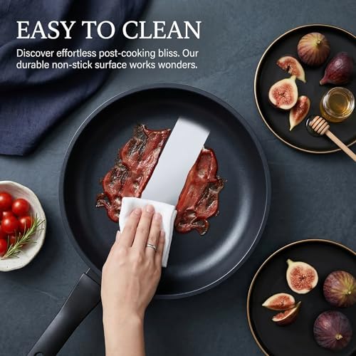 Nonstick Frying Pan Skillet (Black / 8 Inch)