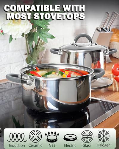Basics 12 Quart Stainless Steel Stock Pot with Lid (12 Quarts / Gray Silicone Handle)