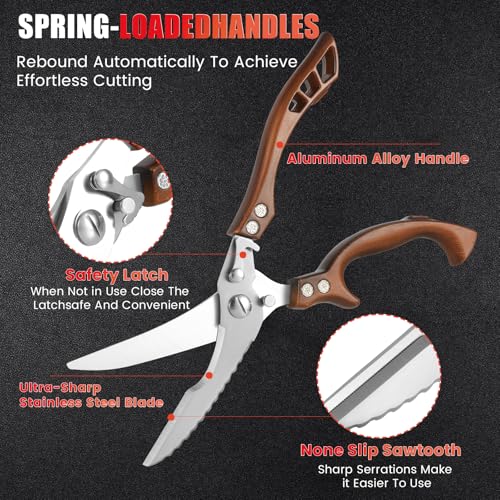 Kitchen Scissors