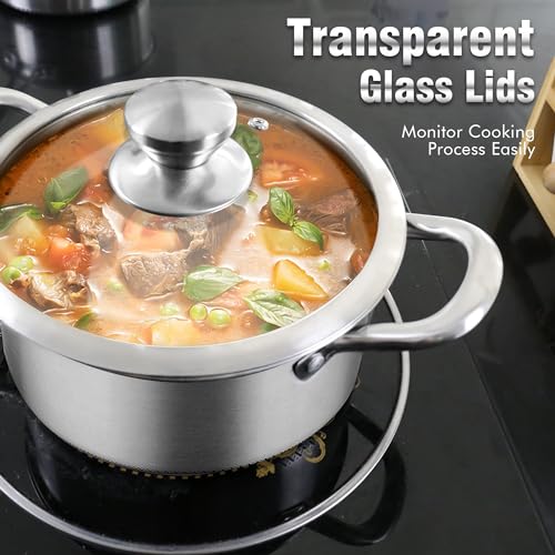 Hybrid Nonstick 6 Quart Stainless Steel Stockpot with Glass Lid (6 Quarts)
