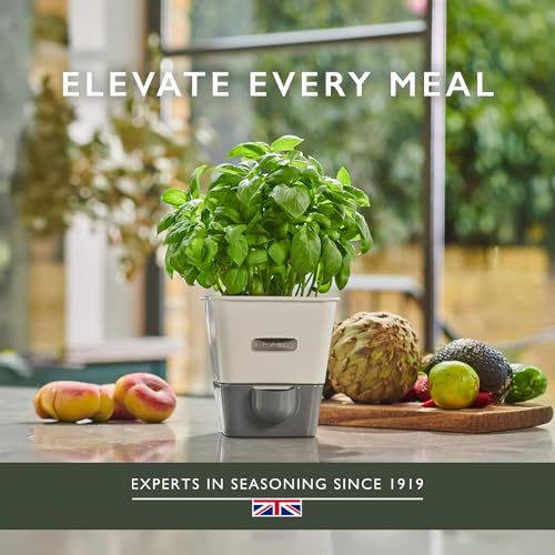 Self Watering Single Potted Herb Keeper (Single Fresh Herb Keeper)