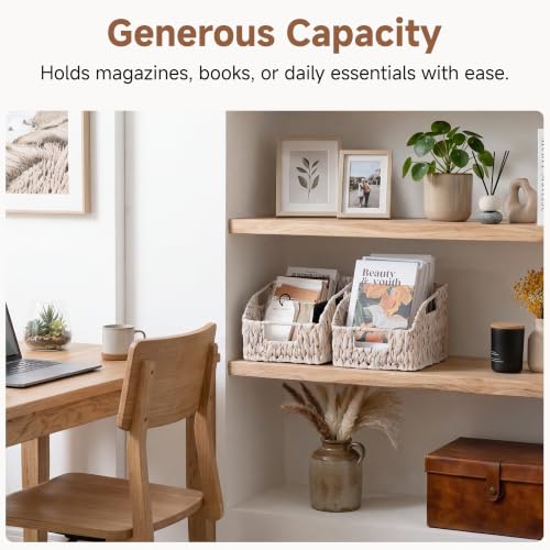 Pantry Baskets for Organizing (White(Water Hyacinth) / 2x 8½"L x 10"W x 7½"H)