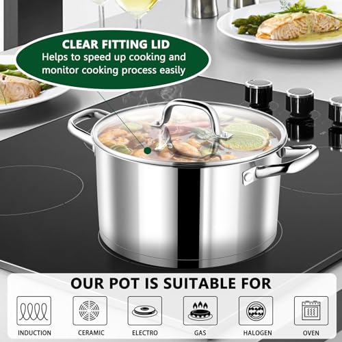 8 Quarts Stock Pot with Lid (8 Quarts)