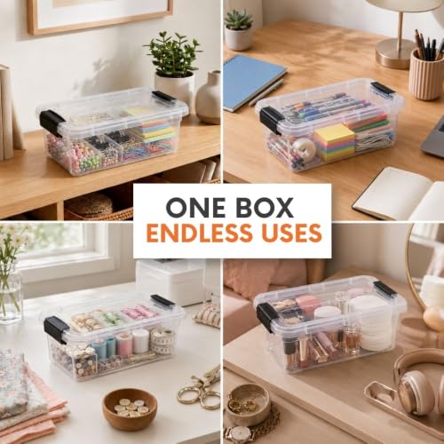 1.05 Quart Mini Clear Plastic Storage Container with Lid (1.05 Quart)