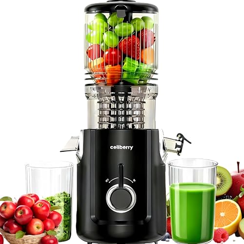 Cold Press Juicer Machines