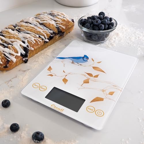 Arti Blue Jay Glass Food Scale Digital Countertop Kitchen (White / 9" X 6.5" X 0.75")
