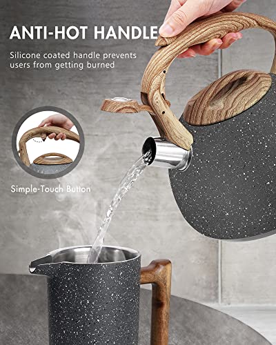 POLIVIAR Tea Kettle (2.7 Quarts / Gray)
