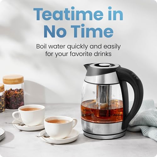 Electric Kettle with Temperature Control (1.8L / Stainless Steel)