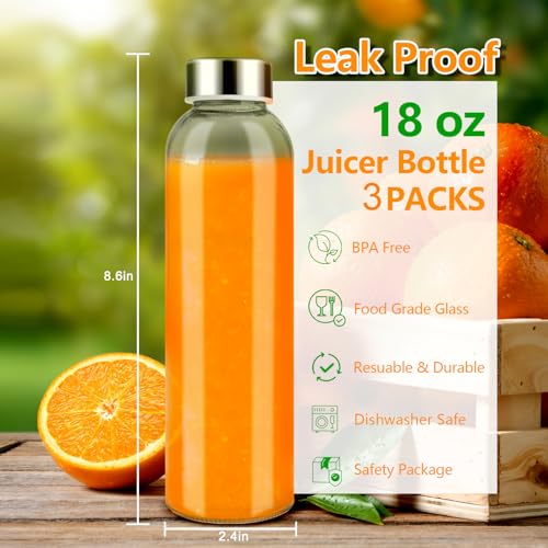 18 oz Glass Water Bottles with Stainless Steel Lids