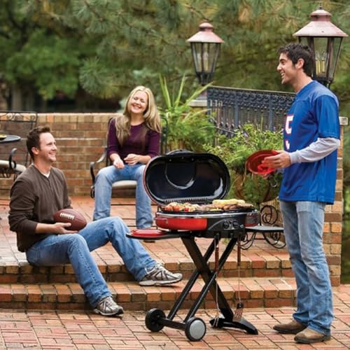 Cast Iron Cooking Griddle and Grates Replacement Parts for Coleman Roadtrip 285 LX LXE LXX Swaptop Grills 13" x 12.5" (Coleman Griddle and Grates)