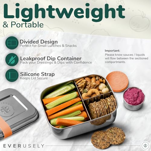 Stainless Steel Bento Box + Condiment Container (Orange / 27oz / 800ml)