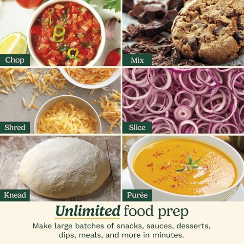 9 Cup Continuous Feed Food Processor with Fine and Medium Reversible Shredding and Slicing Disc (9 Cup / White)