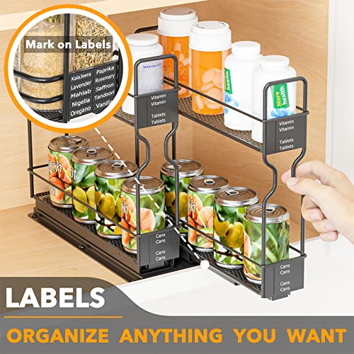 Pull Out Spice Rack Organizer for Cabinet (Two 2"W Drawers, 2-Tier)