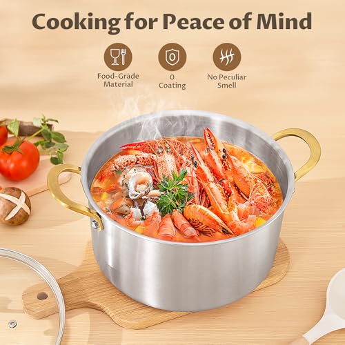 8 QT Stock Pot with Lid