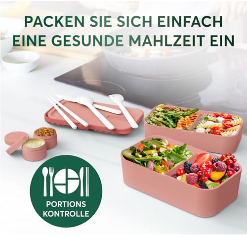 Lunch Box Containers w (Coral Pink / Standard)