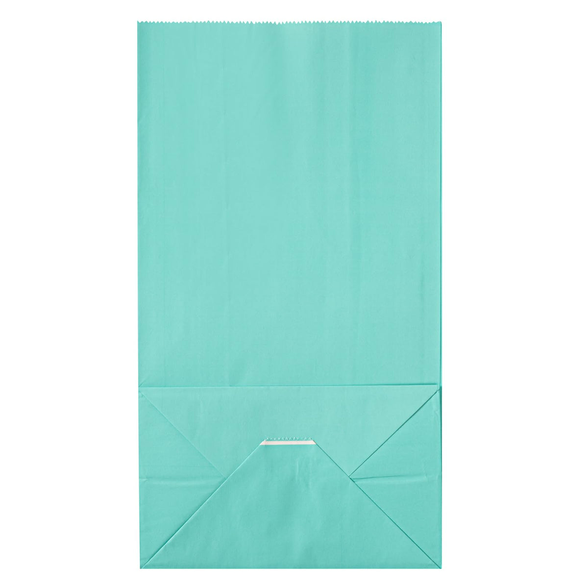Turquoise Paper Bag (12 lb / Turquoise)