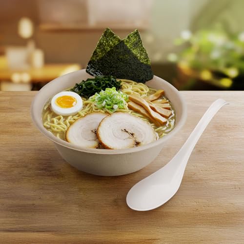 Disposable PLA Cornstarch Asian Soup Spoons with Hook Plastic (6.5 inch)