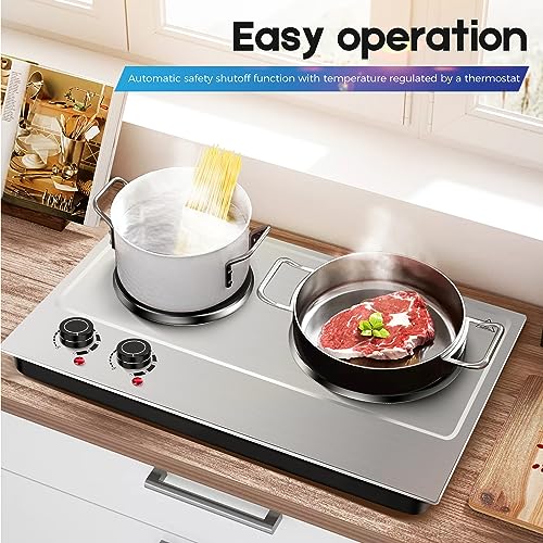Electric Hot Plate (Matte Silver / Double)