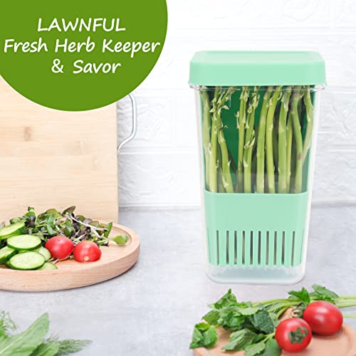 3 Pack Fresh Herb Keeper for Refrigerator (3 Pack)